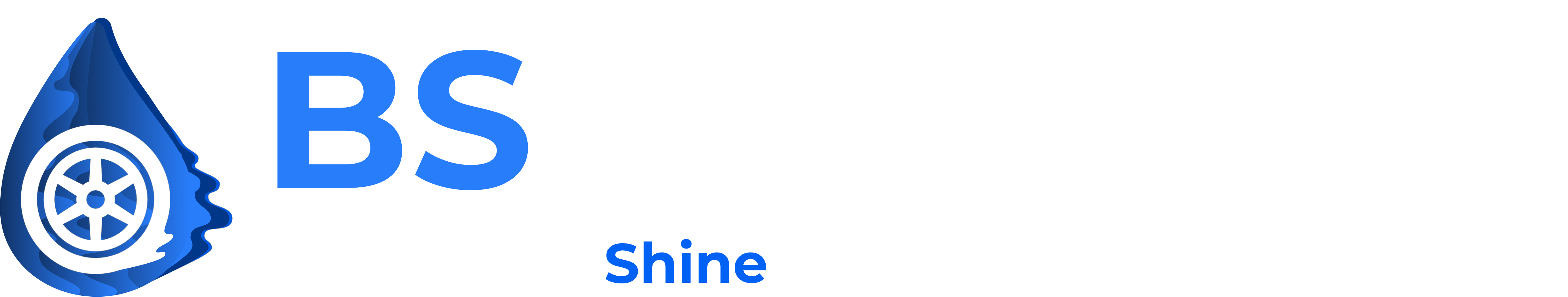 BS AutoShine - Professional Car Cleaning & Valeting Services Essex